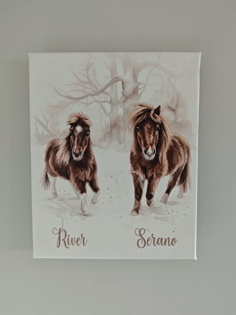 Watercolor-portret van twee pony's op canvas – VocuZ Studio