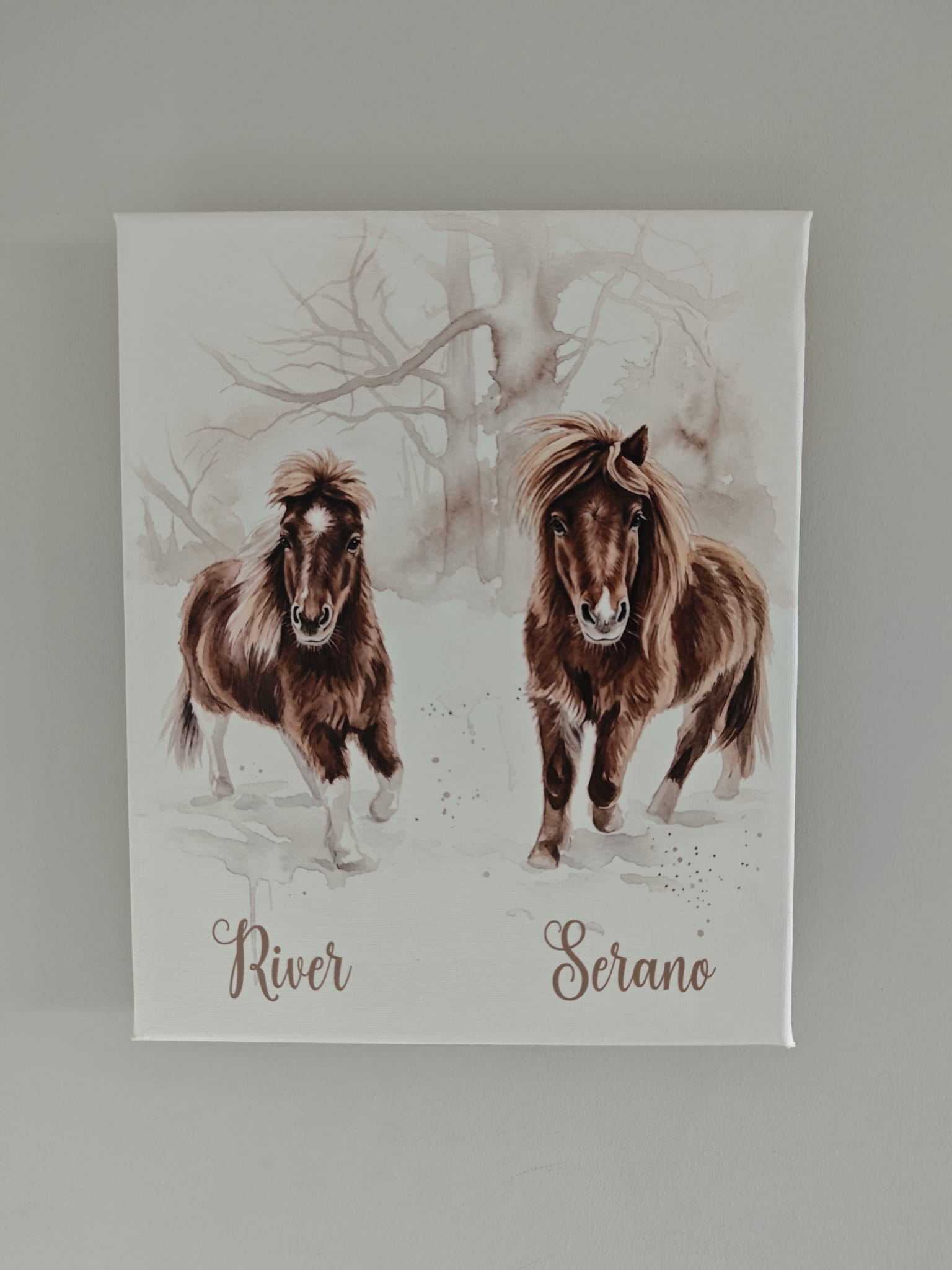 Watercolor-portret van twee pony's op canvas – VocuZ Studio